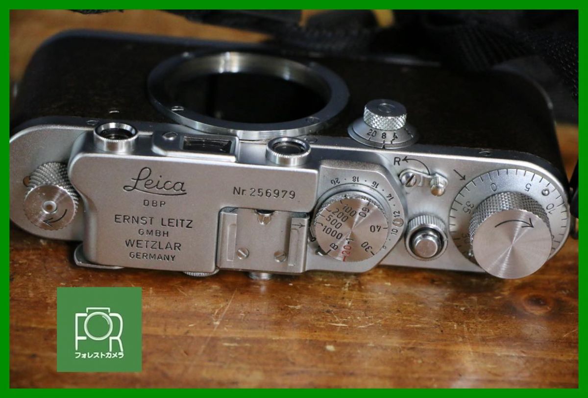 シャッター全速