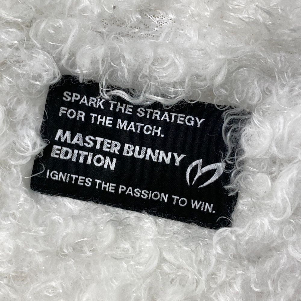 マスターバニーエディション モデル