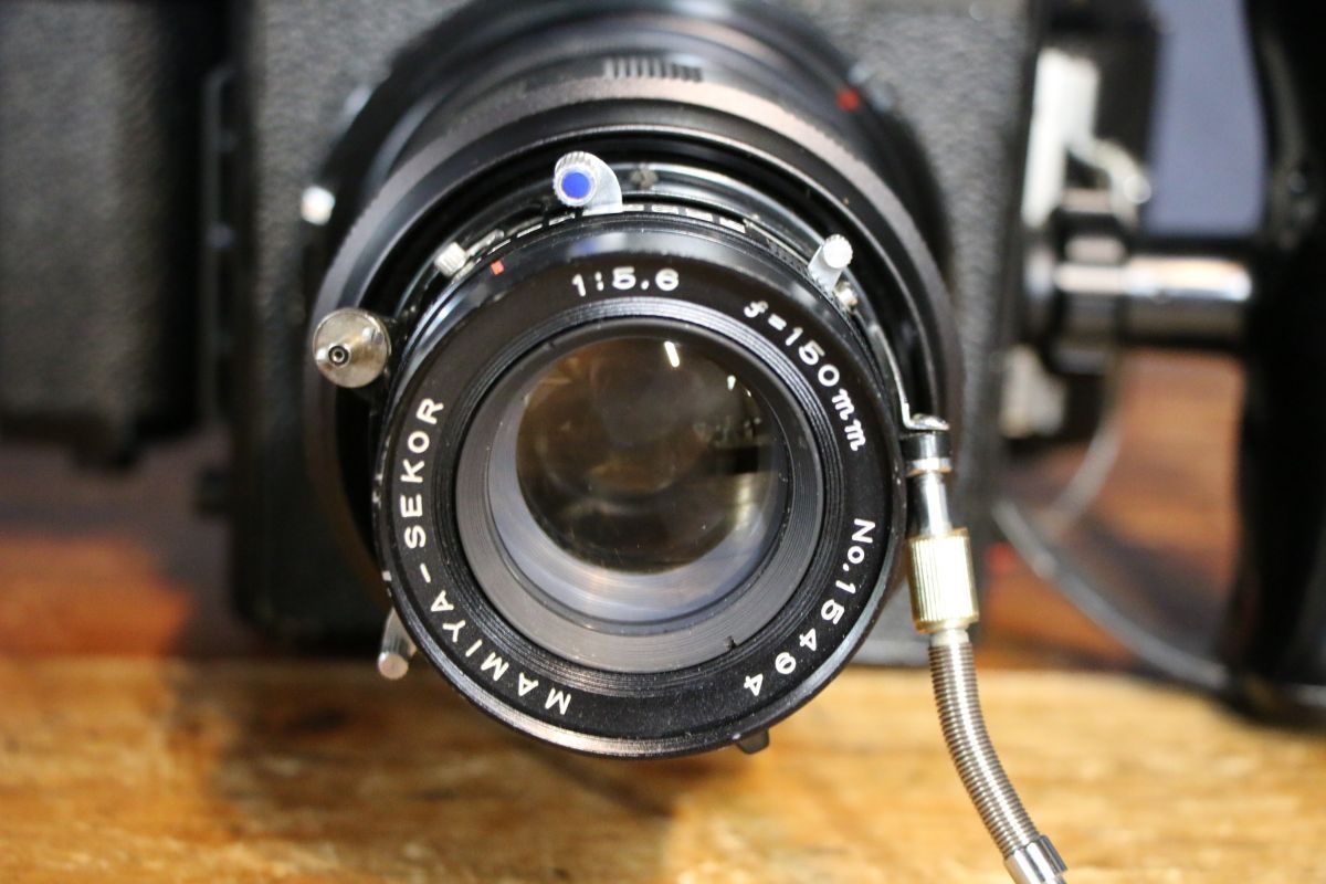 6 シャッター全速