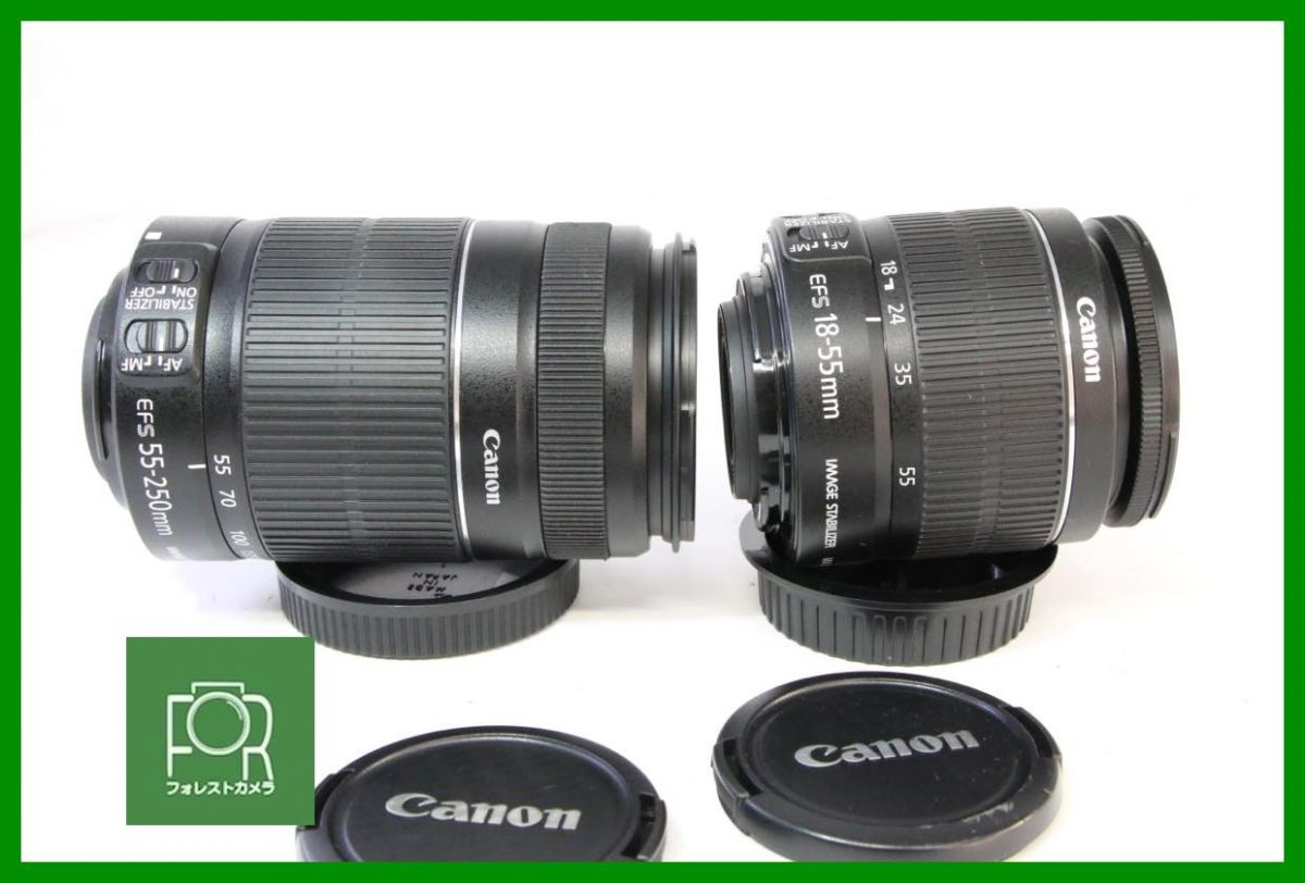 点検済 Canon EF-S 55-250mm F4.5-5.6 IS II EF-S 18-55mm F3.5-5.6 IS II AAA714