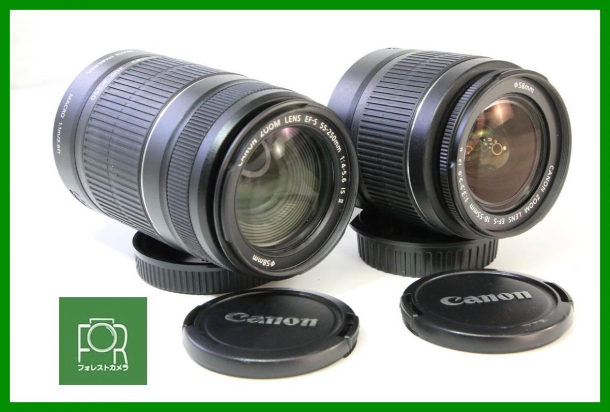 点検済 Canon EF-S 55-250mm F4.5-5.6 IS II EF-S 18-55mm F3.5-5.6 IS II AAA714