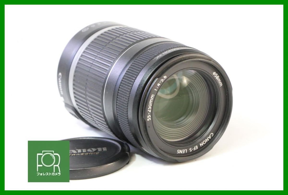 点検済 キヤノン Canon EF-S 55-250mm F4-5.6 IS BBB77