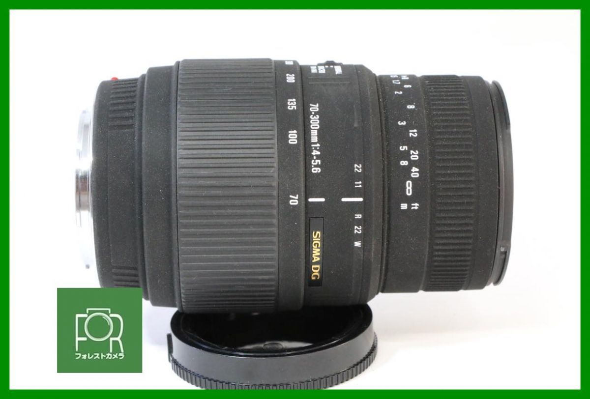 点検済 SIGMA DG 70-300mm F4-5.6 MACRO ソニーA 前後キャップ付き BBB70