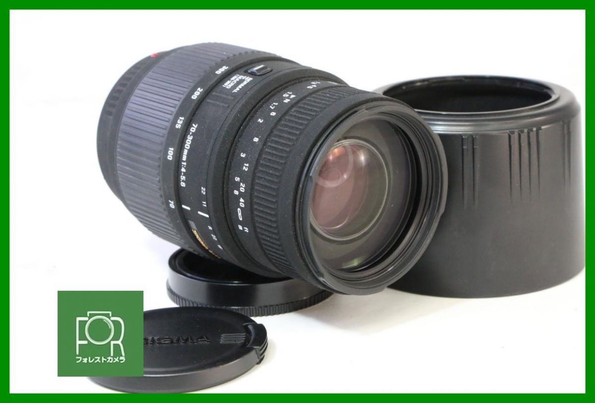 点検済 SIGMA DG 70-300mm F4-5.6 MACRO ソニーA 前後キャップ付き BBB70