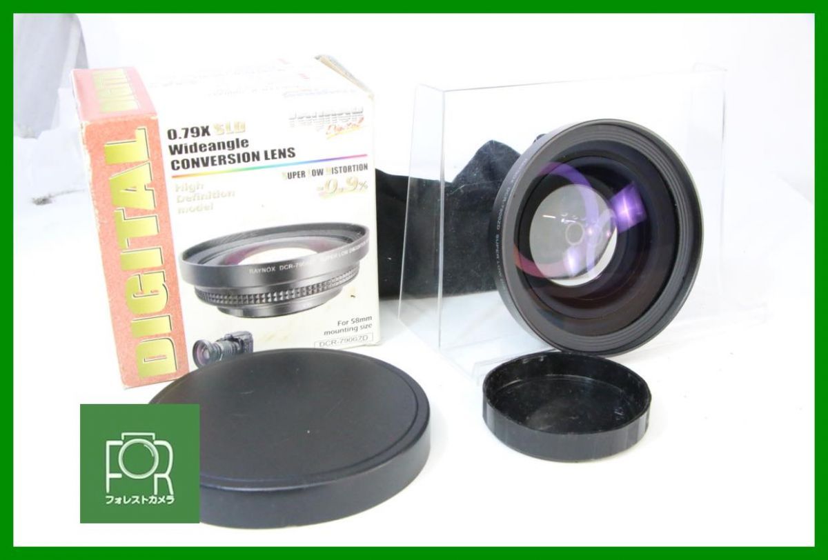 点検済 raynox 0.79X SLD Wideangle CONVERSION LENS 196