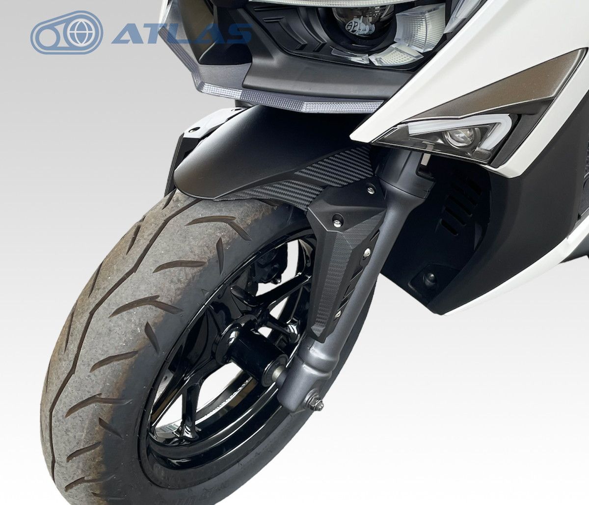 APEXX ｼｸﾞﾅｽ ｸﾞﾘﾌｧｽ 6型 CYGNUS GRYPHUS X FORCE GP フロント