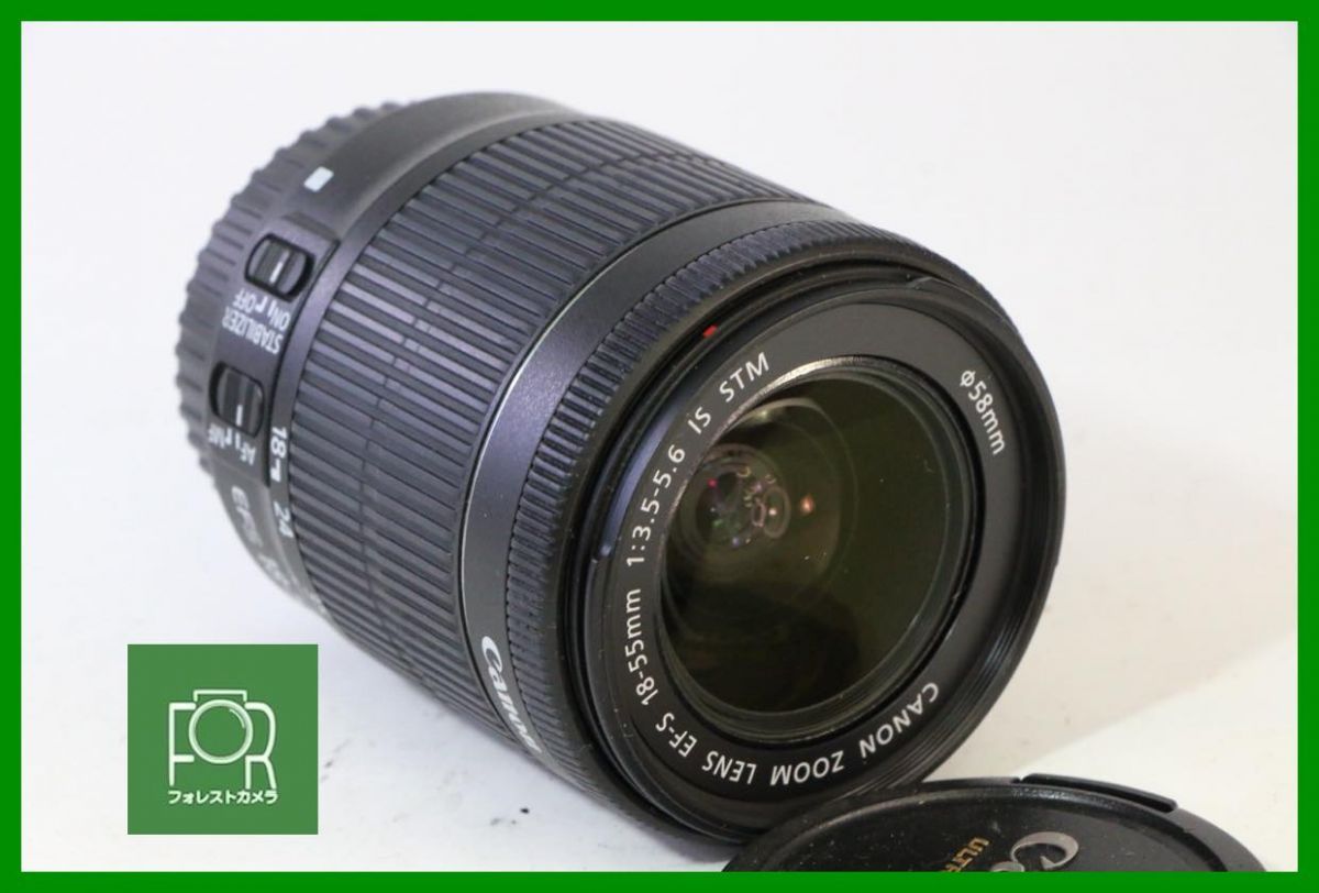 点検済 Canon EF-S 18-55mm F3.5-5.6 IS STM 1585