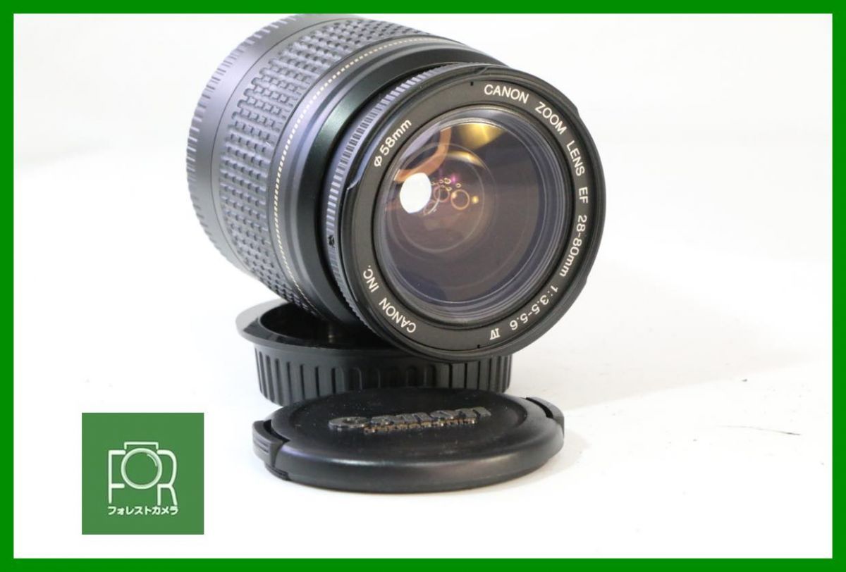 点検済 キヤノン Canon EF 28-80mm F3.5-5.6 IV USM 前後キャップ付き 4901