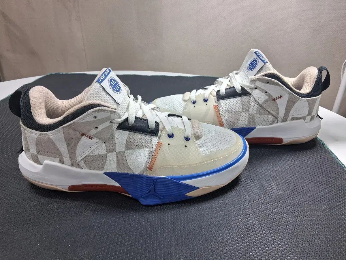 ナイキ ジョーダン ONE テイク 5 PF 255 265 タグ 265 細足