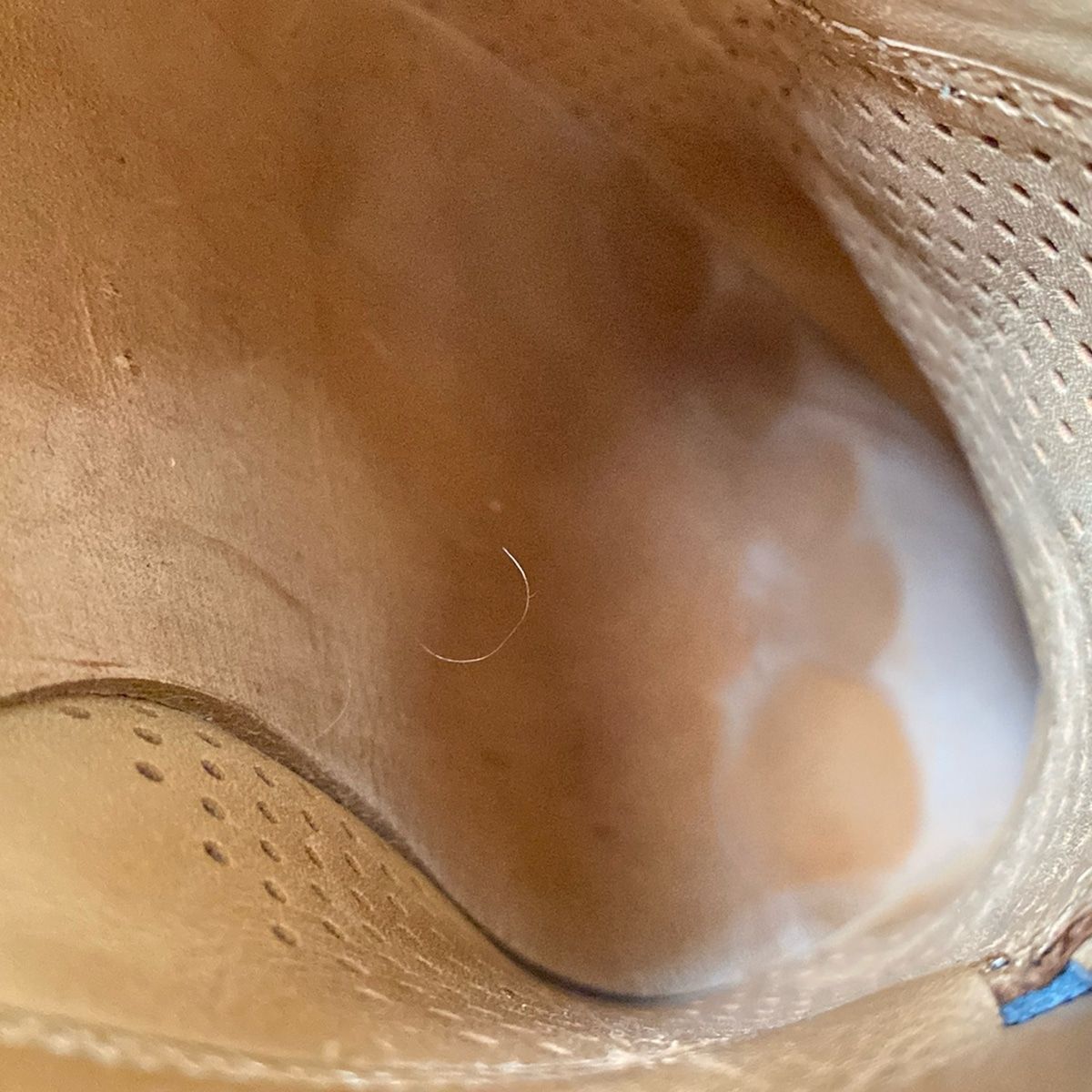 ウィングチップ