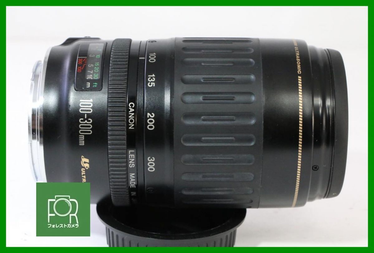 点検済 キヤノン Canon EF 100-300mm F4.5-5.6 USM 6116