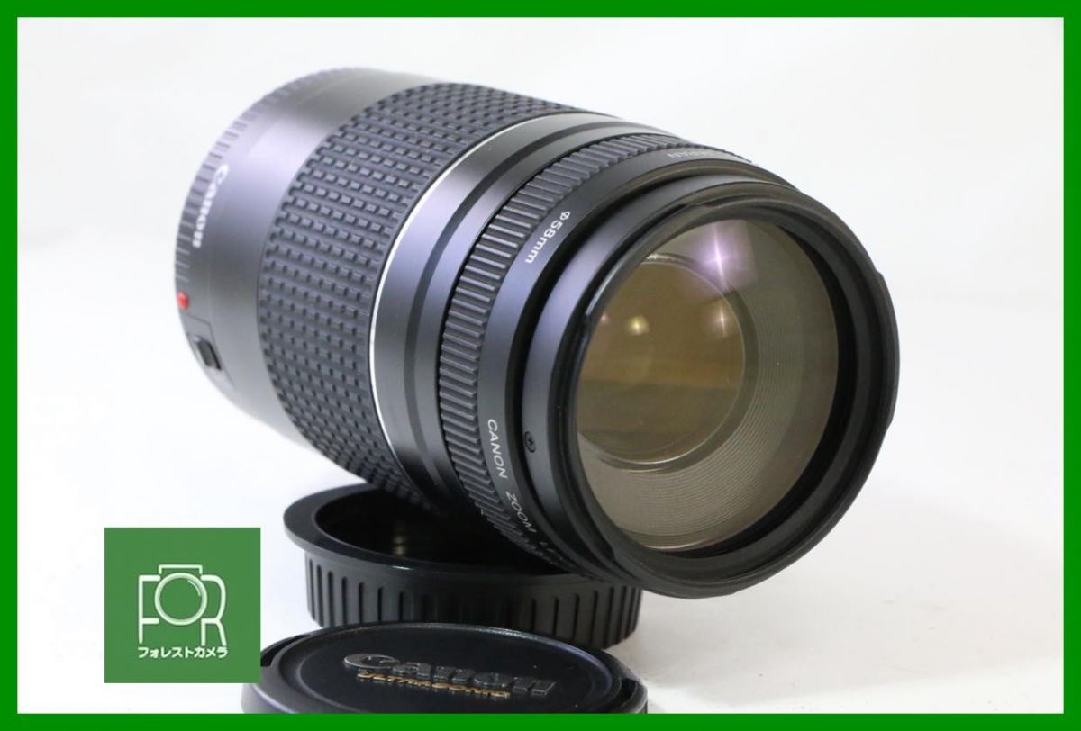 点検済 キヤノン Canon EF 75-300mm F4-5.6 III USM 前後キャップ付き 6113
