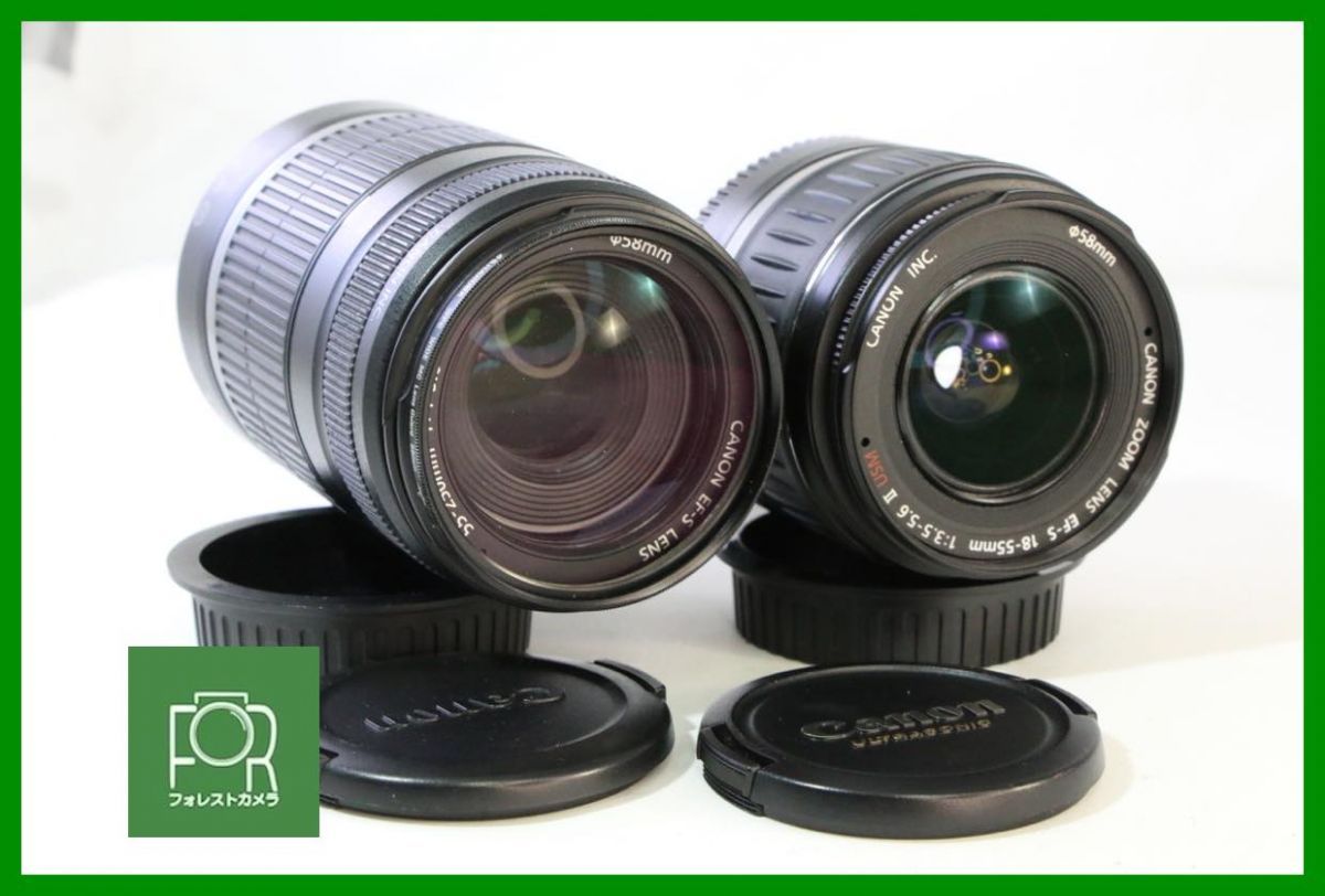点検済 キヤノン Canon EF-S 18-55 mm F 3.5-5.6 II USM 55-250 4-5.6 前後キャップ付き AB 654
