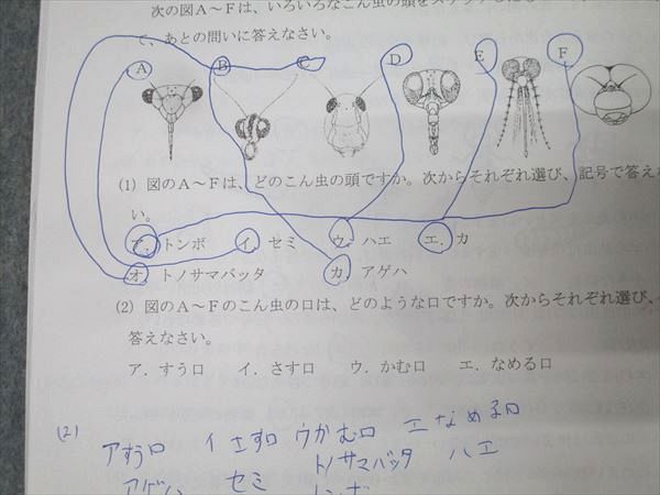 希学園小4理科　ベーシック.灘プリント理科 2点セット 希学園小4理科 ベーシック.灘プリント理科 2点セット 希学園小4
