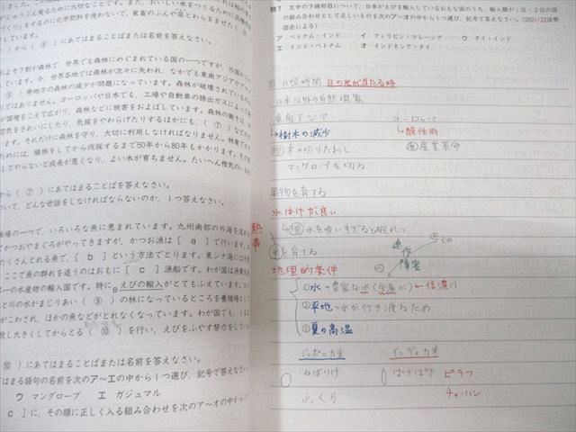 早稲田アカデミー 小6 社会 マスターテキスト 2024 夏期 015S2C - メルカリ