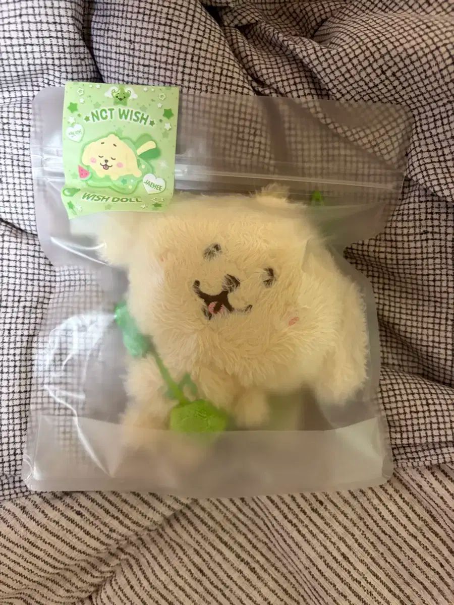 NCT WISH ジェヒ デヨン 댕트リーバー セット