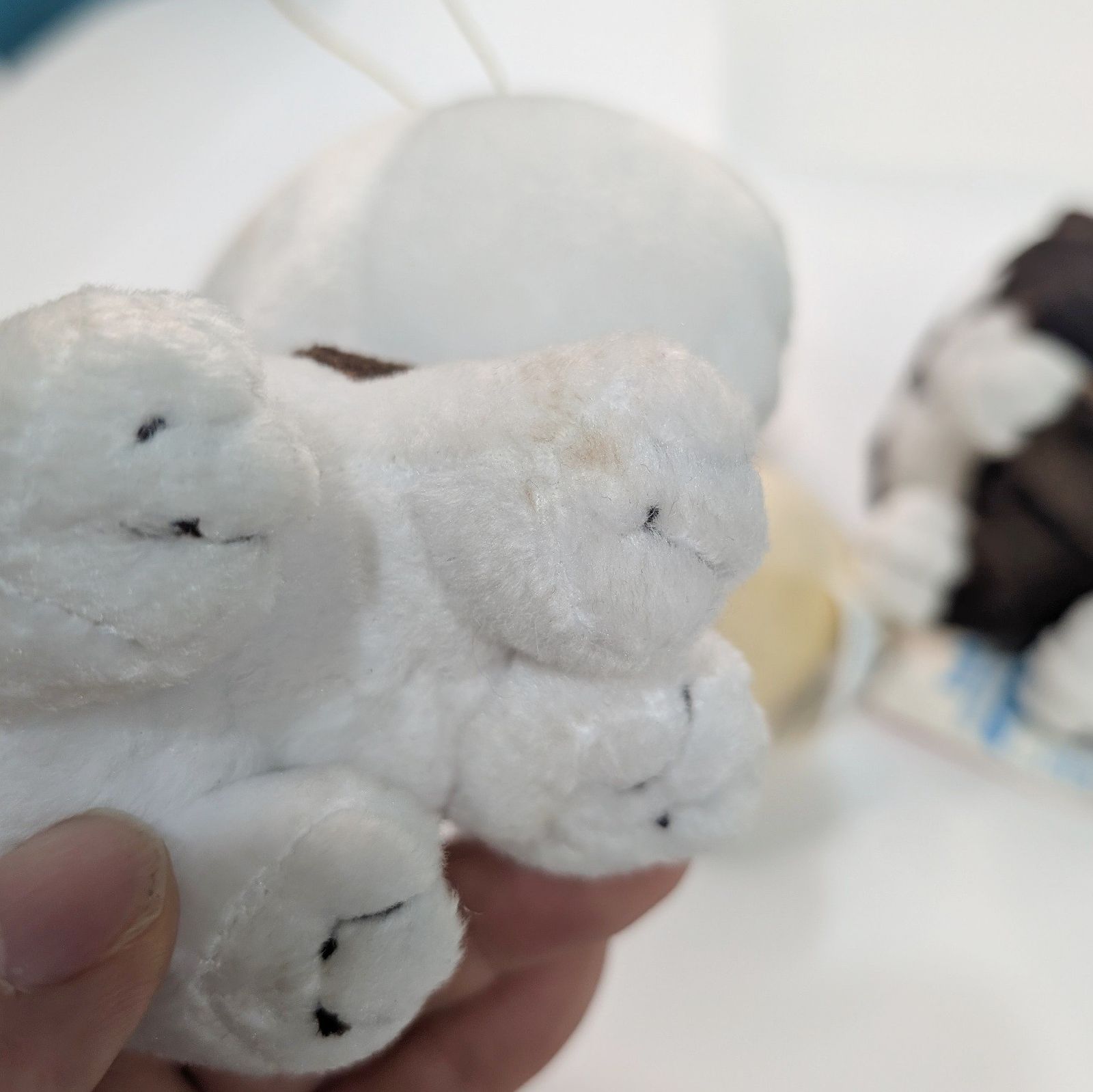 うちのタマ知りませんか？タマ＆フレンズ 昭和レトロ 当時物 希少 保管