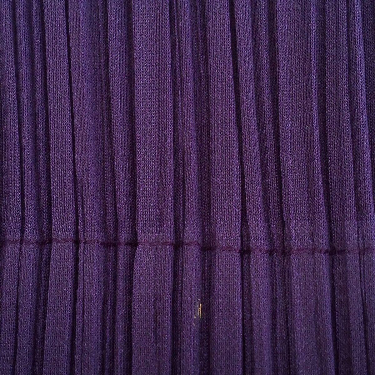 プリーツプリーズ