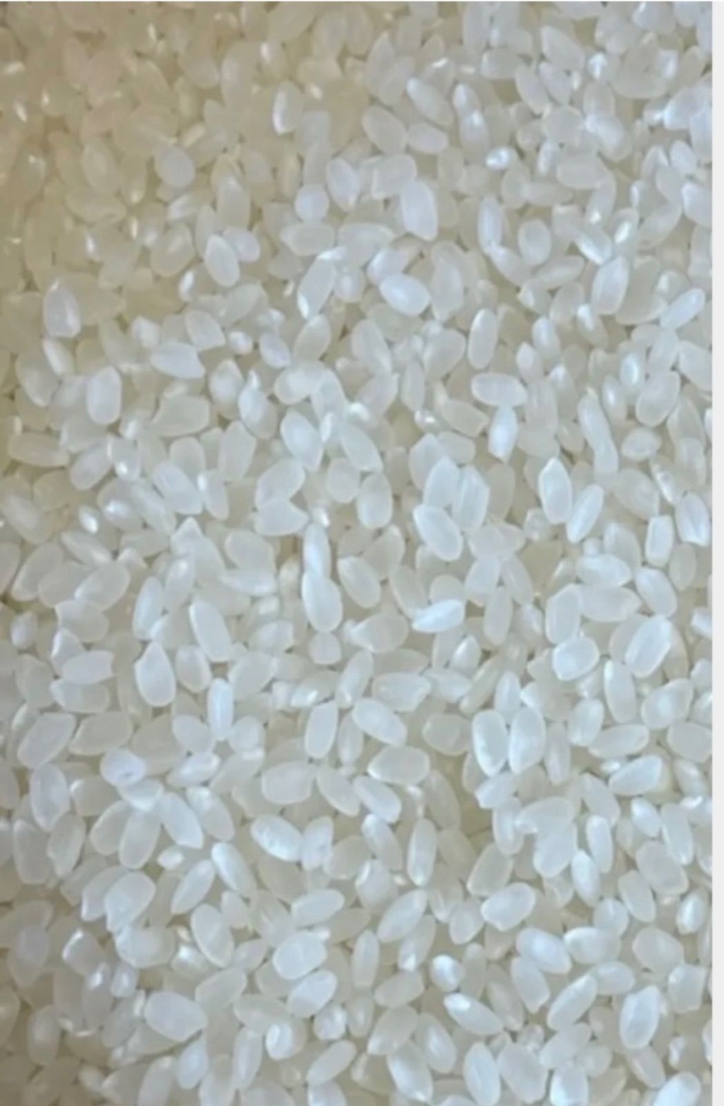 令和7年新米 なつほのか 白米5kg 大分県産 - メルカリ