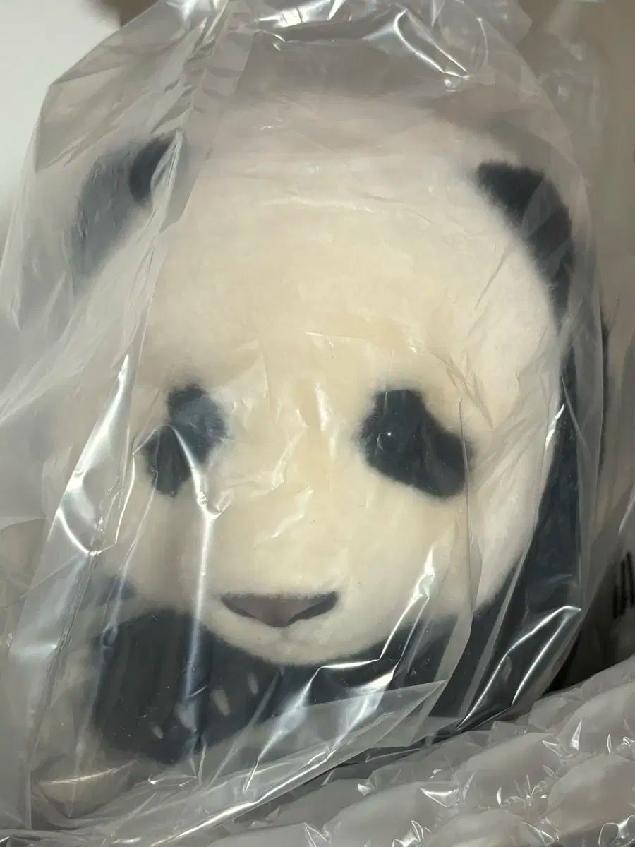 パンダファクトリー 5ヶ月 プーパンダ ぬいぐるみ プーバオ
