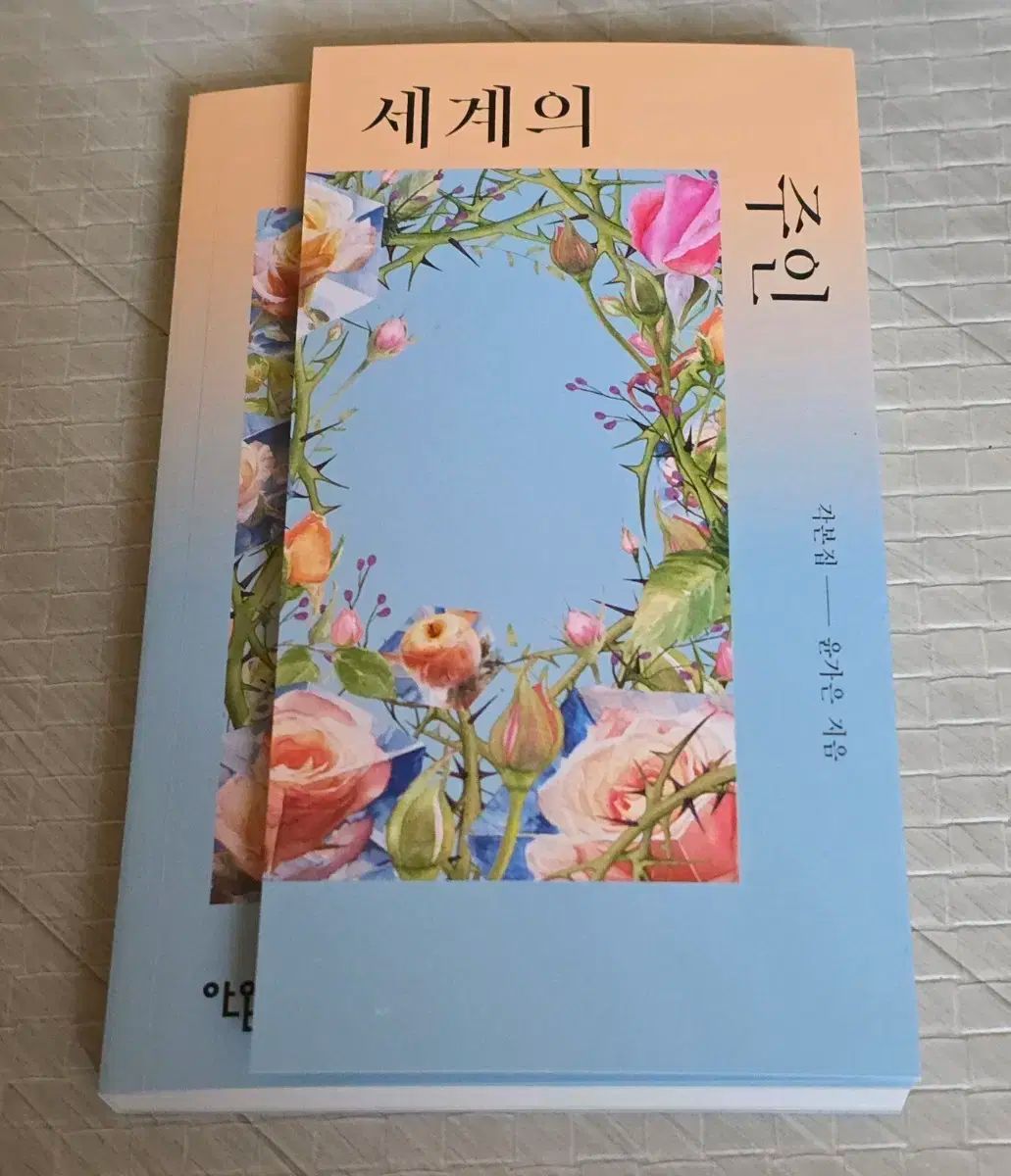 ユン カエウン監督 サイン入り脚本集