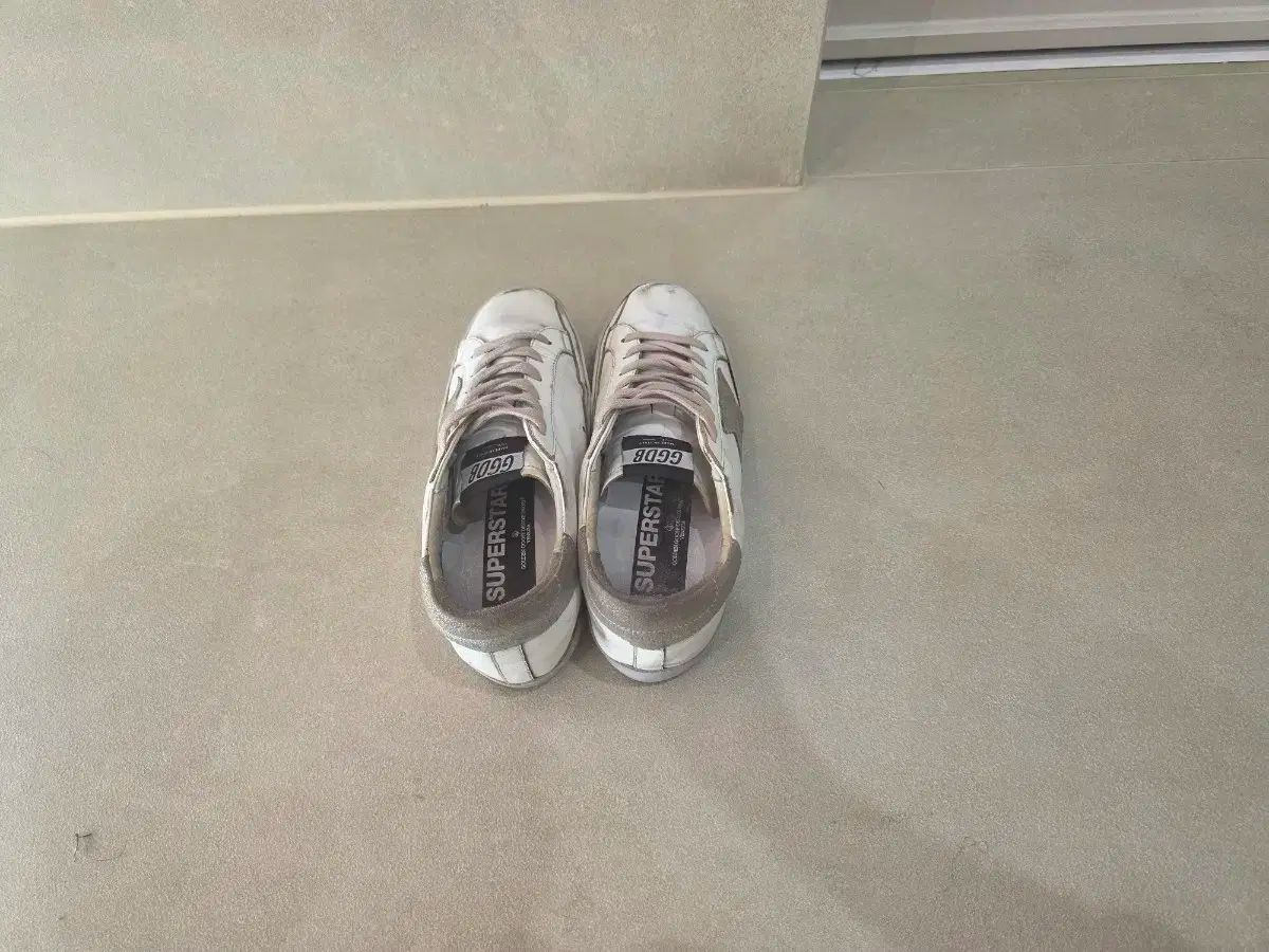 ゴールデングース