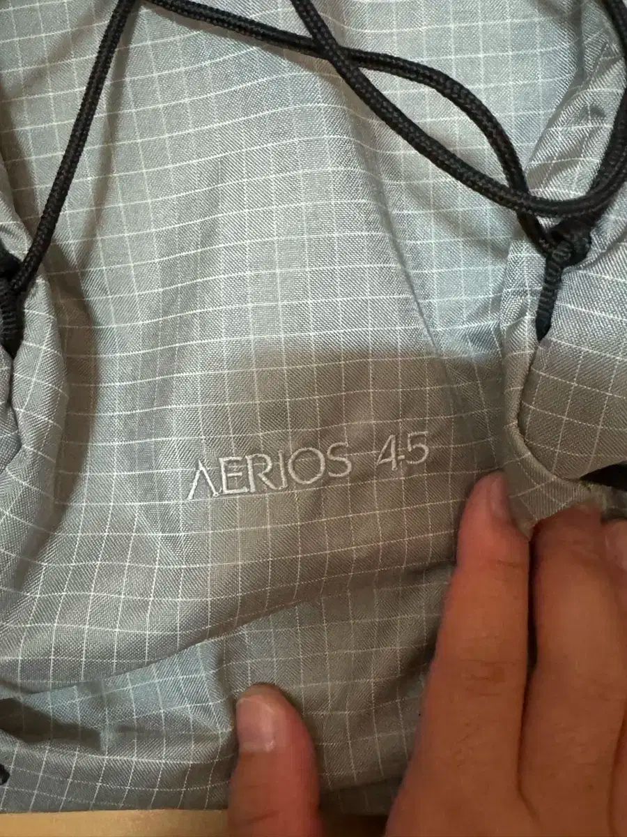 アークテリクス エアス 45 メンズ Regular サイズ