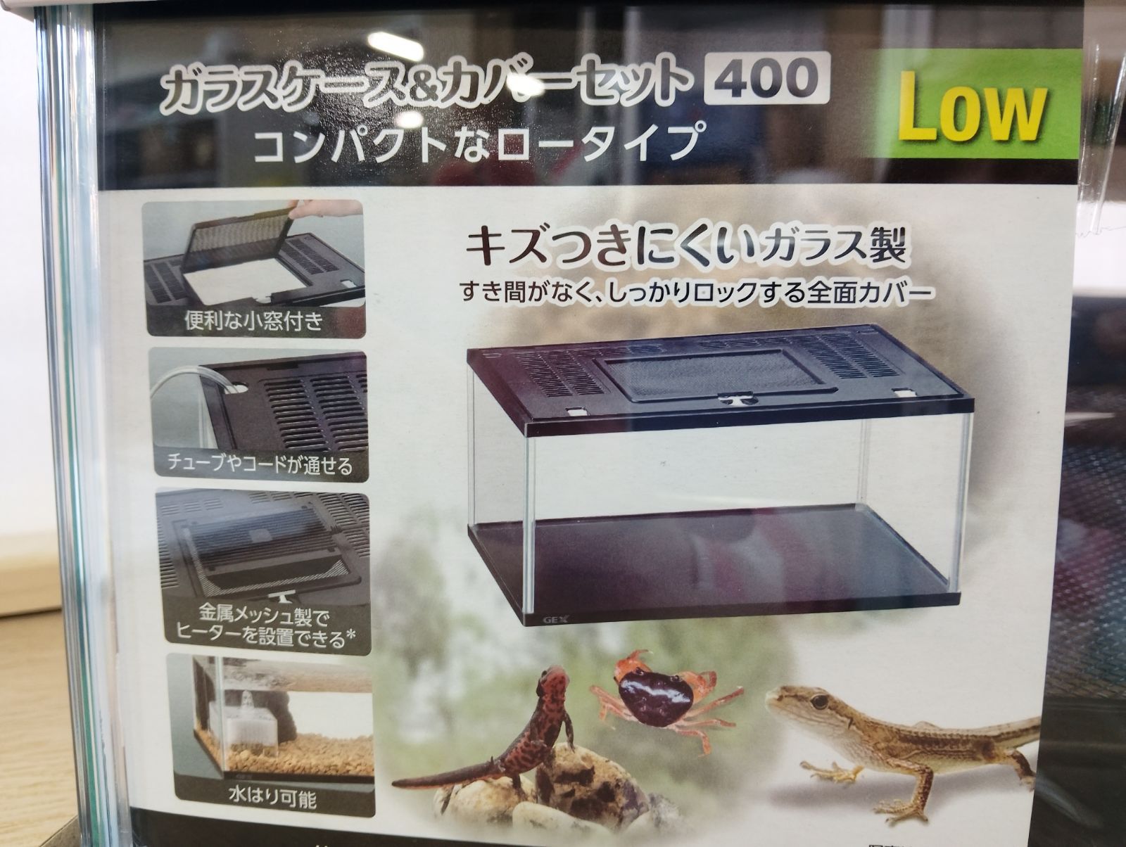 大型飼育ケージ ガラス製 メッシュカバー付き 45センチ水槽＜メッシュフタ付き＞【一度のご注文で1個まで】/ケージ
