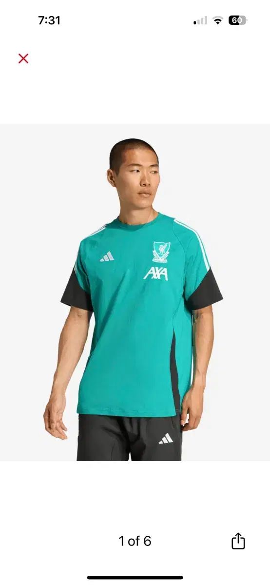 アディダス リヴァプール トレーナー Tシャツ ミント