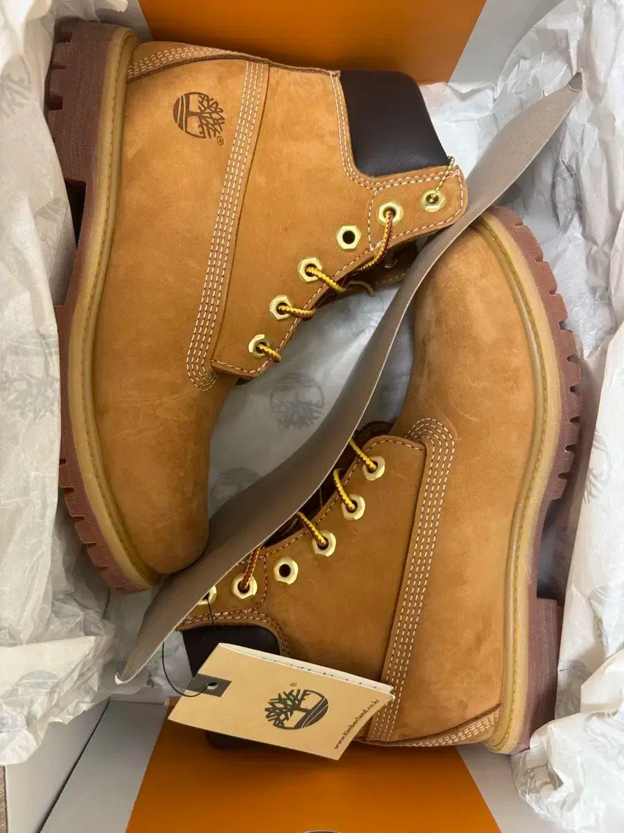 ティンバーランド 6インチ ウォータープルーフブーツ w 240