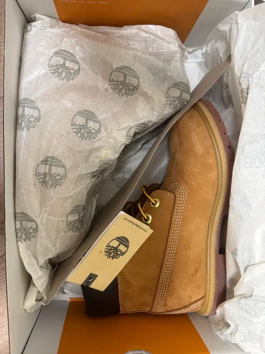 ティンバーランド 6インチ ウォータープルーフブーツ w 240