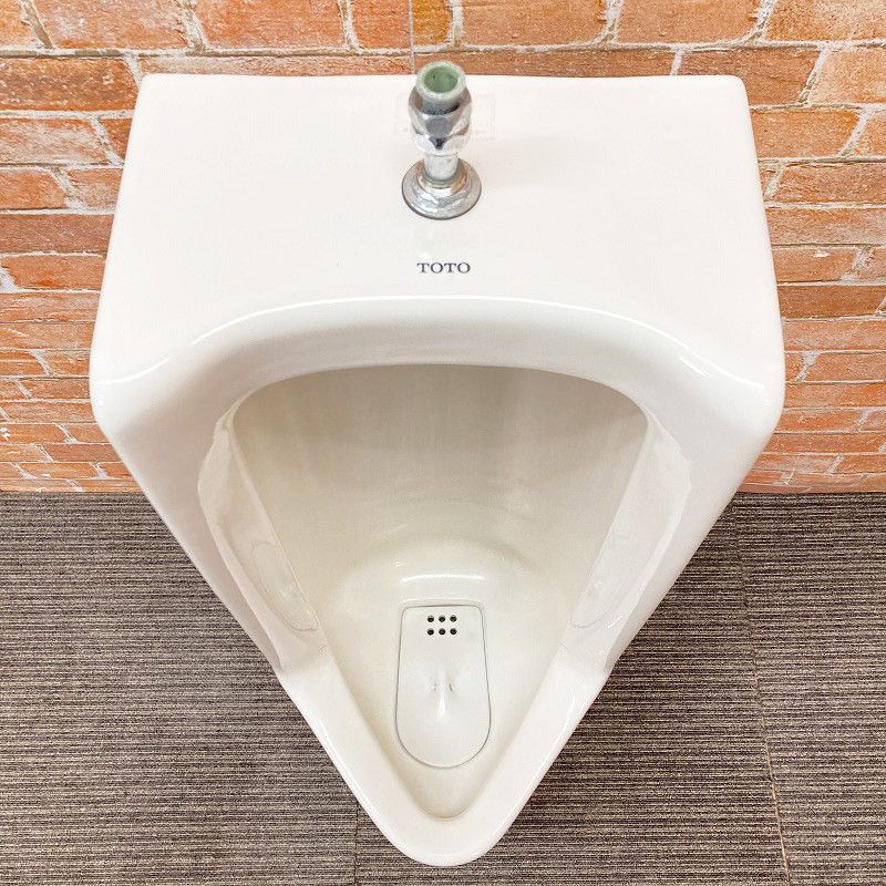 パステルアイボリー 1H