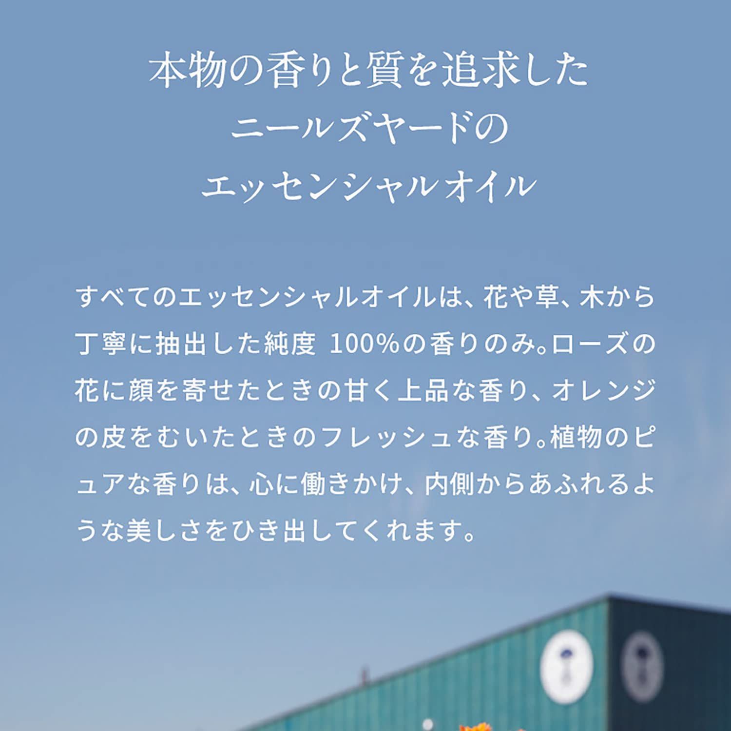 在庫 リードフレグランスディフューザー バランシング ホームフレグランス ルームフレグランス