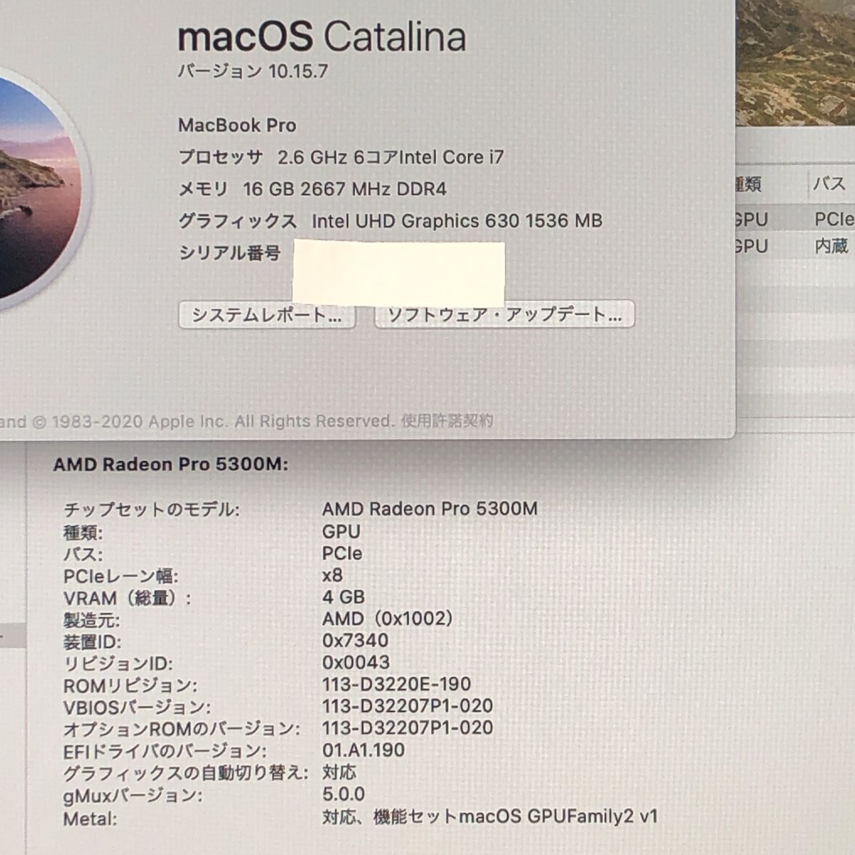 本体のみ Apple MacBook Pro 16インチ 2019 Touch Bar Radeon 5300 M i 7 16 GB 512 A 2141 EMC 3347 MB-251720 325195
