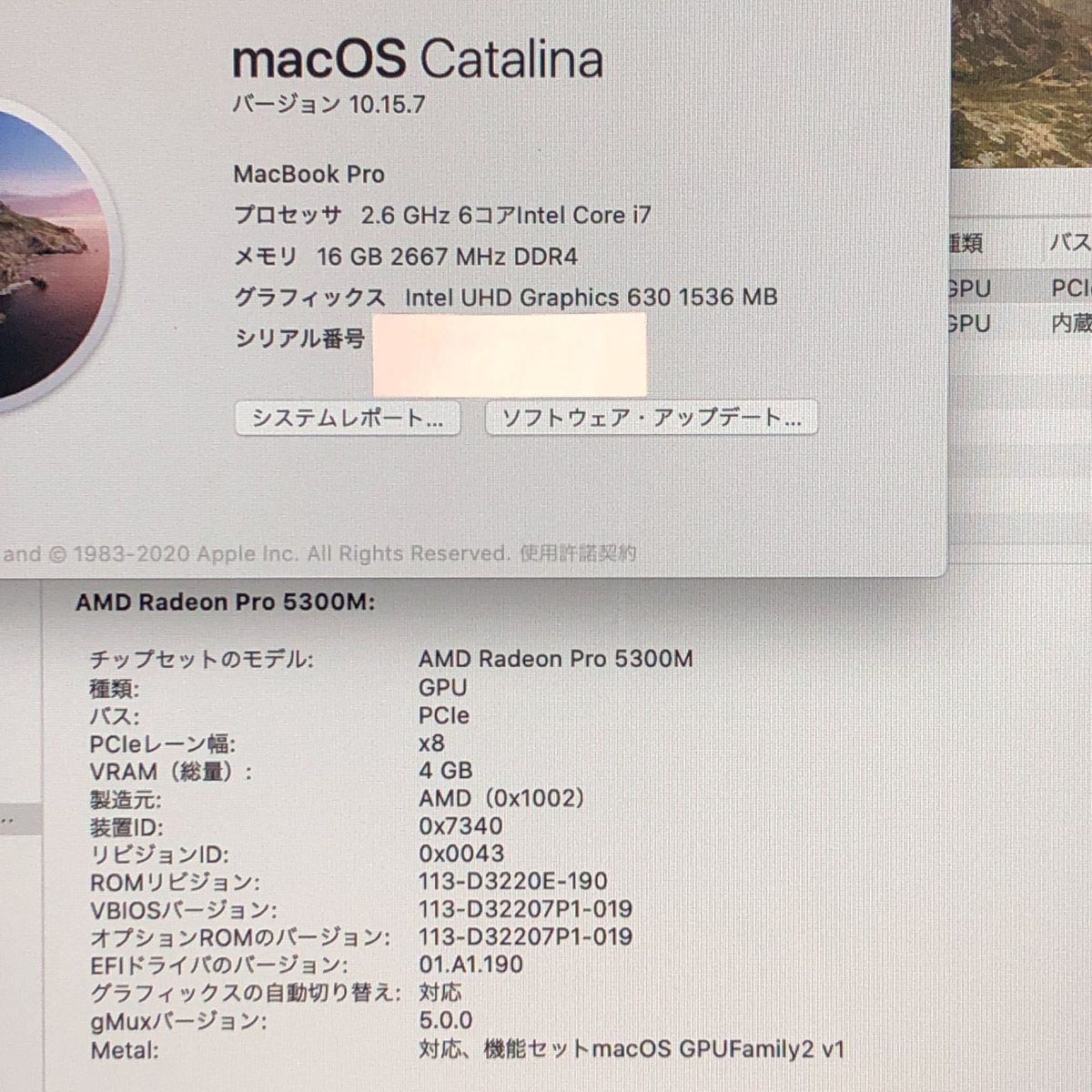 品 本体のみ Apple MacBook Pro 16インチ 2019 Radeon 5300 M i 7 16 GB 512 トラックパッド異常 他 A 2141 EMC 3347 MB-JUNK-251721 325207