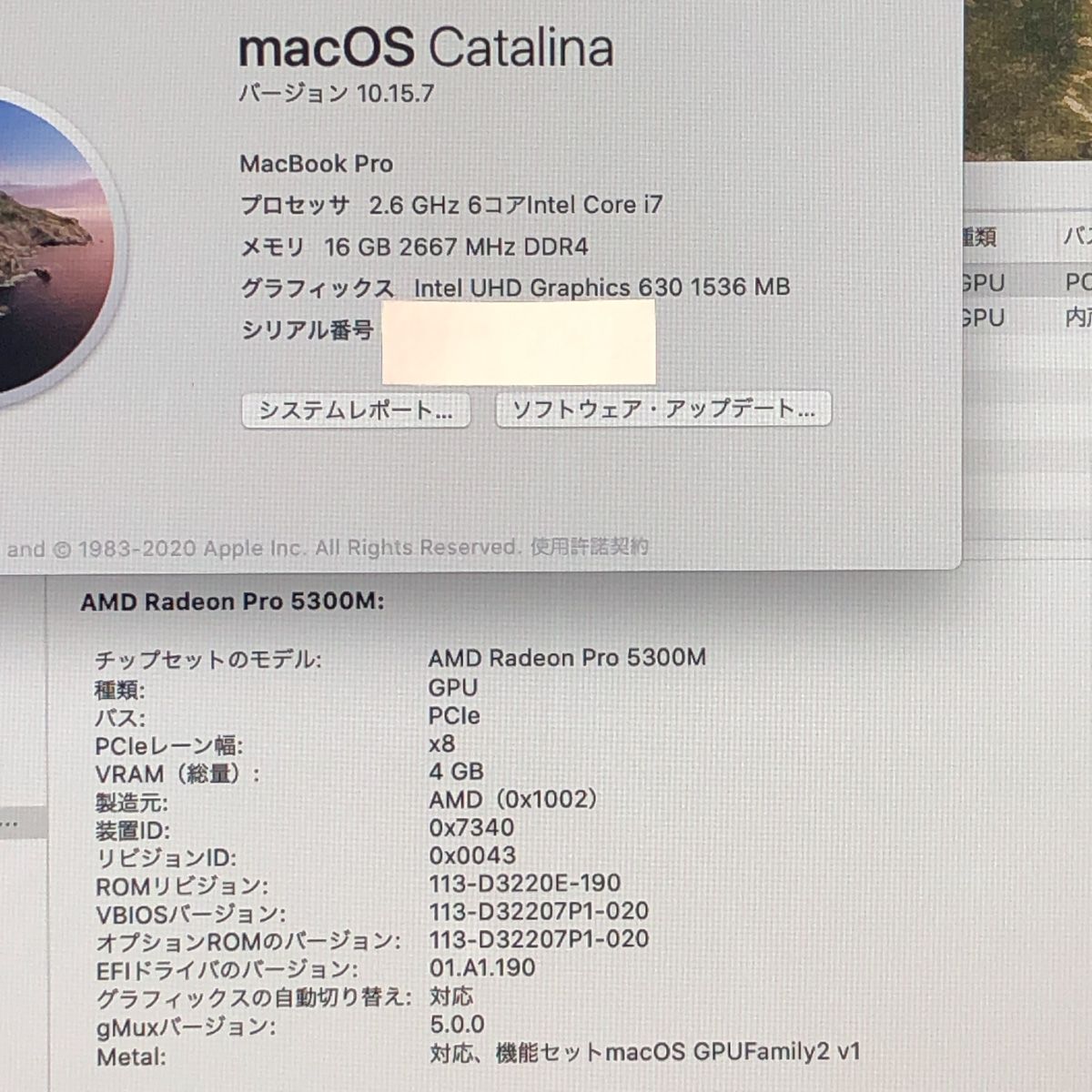 品 本体のみ Apple MacBook Pro 16インチ 2019 Radeon 5300 M i 7 16 GB 512 ホワイトスポット 他 A 2141 EMC 3347 MB-JUNK-251722 325208