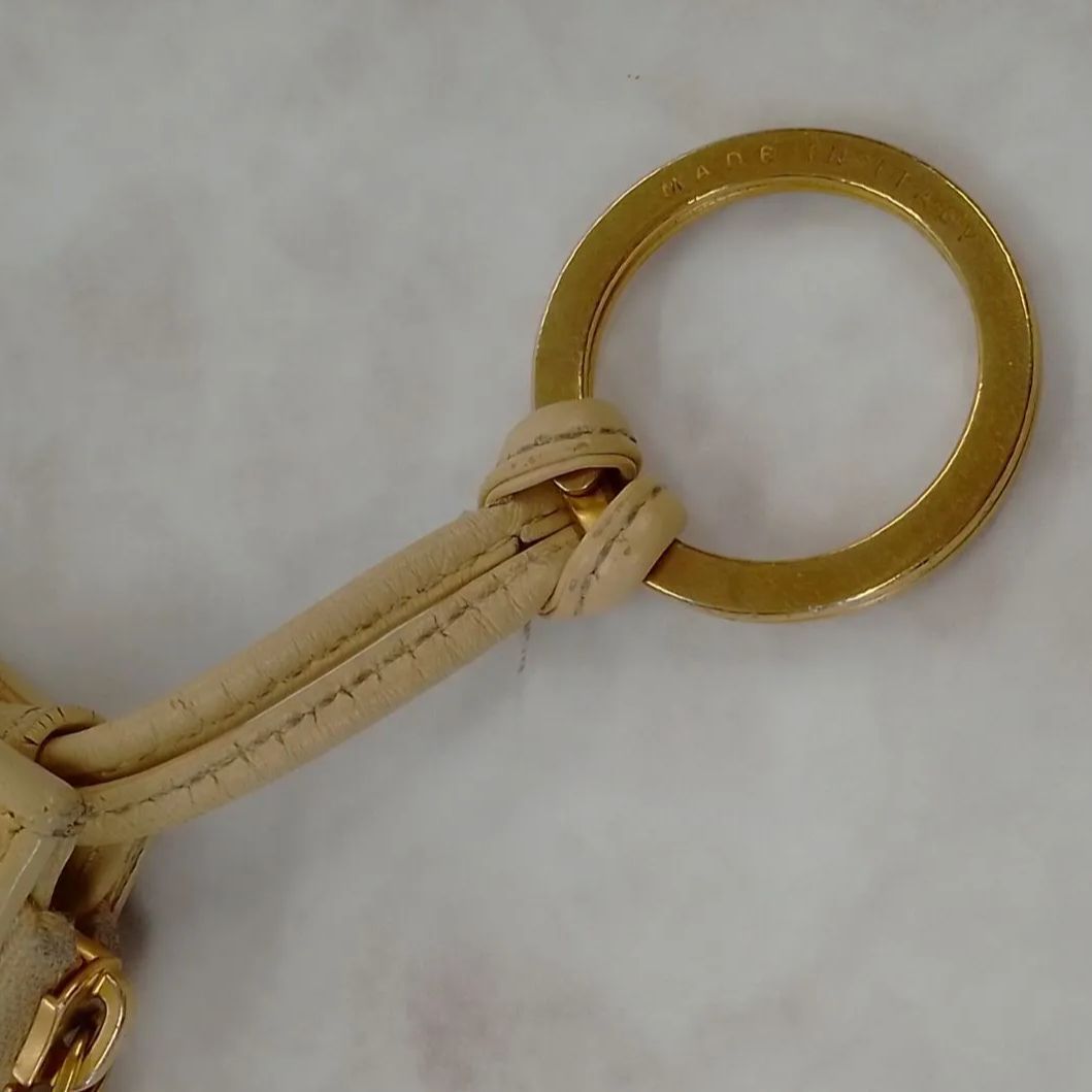  APN 10 ボッテガヴェネタ カセット コインケース マキシイントレチャート ゴールド金具 保存袋付き コインケース 小銭入れ 小物