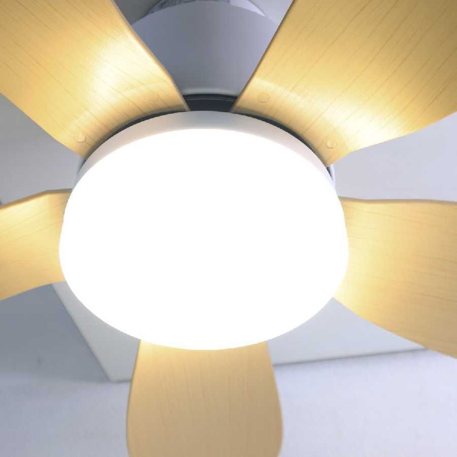 展示品 2024年製 シーリングファンライト Folia フォリア DCモーター