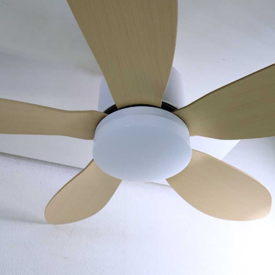 展示品 2024年製 シーリングファンライト Folia フォリア DCモーター