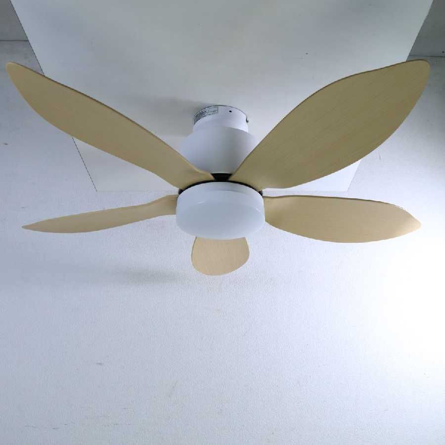 展示品 2024年製 シーリングファンライト Folia フォリア DCモーター