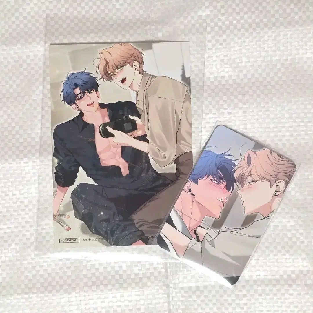 スケッチ ヘザー プリント写真 特典 トレカ