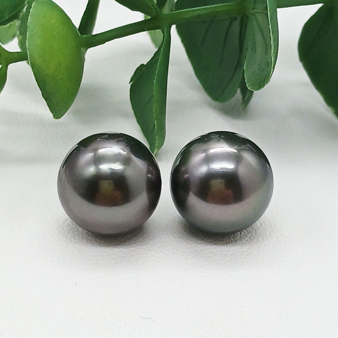 K14WG南洋黒蝶真珠スタッドピアス 照りの良い11 2ミリ珠 大珠黒蝶真珠ピアス タヒチ真珠 フォーマル用にも 商品番号9-418