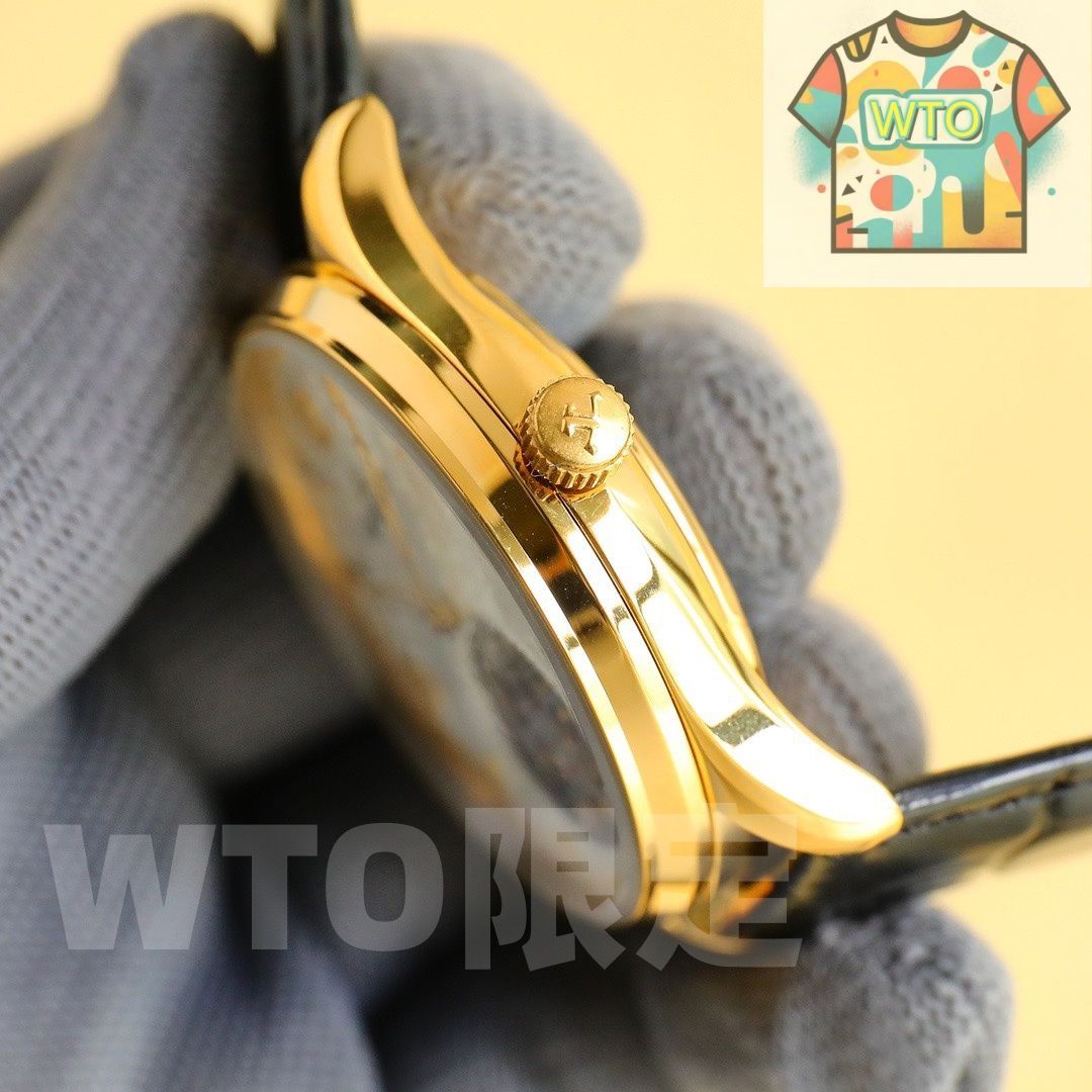  今日 jaeger lecoultre 家 北宸系列 メンズ 腕時計-WTO輸入1 自動巻き時計 腕時計(アナログ)