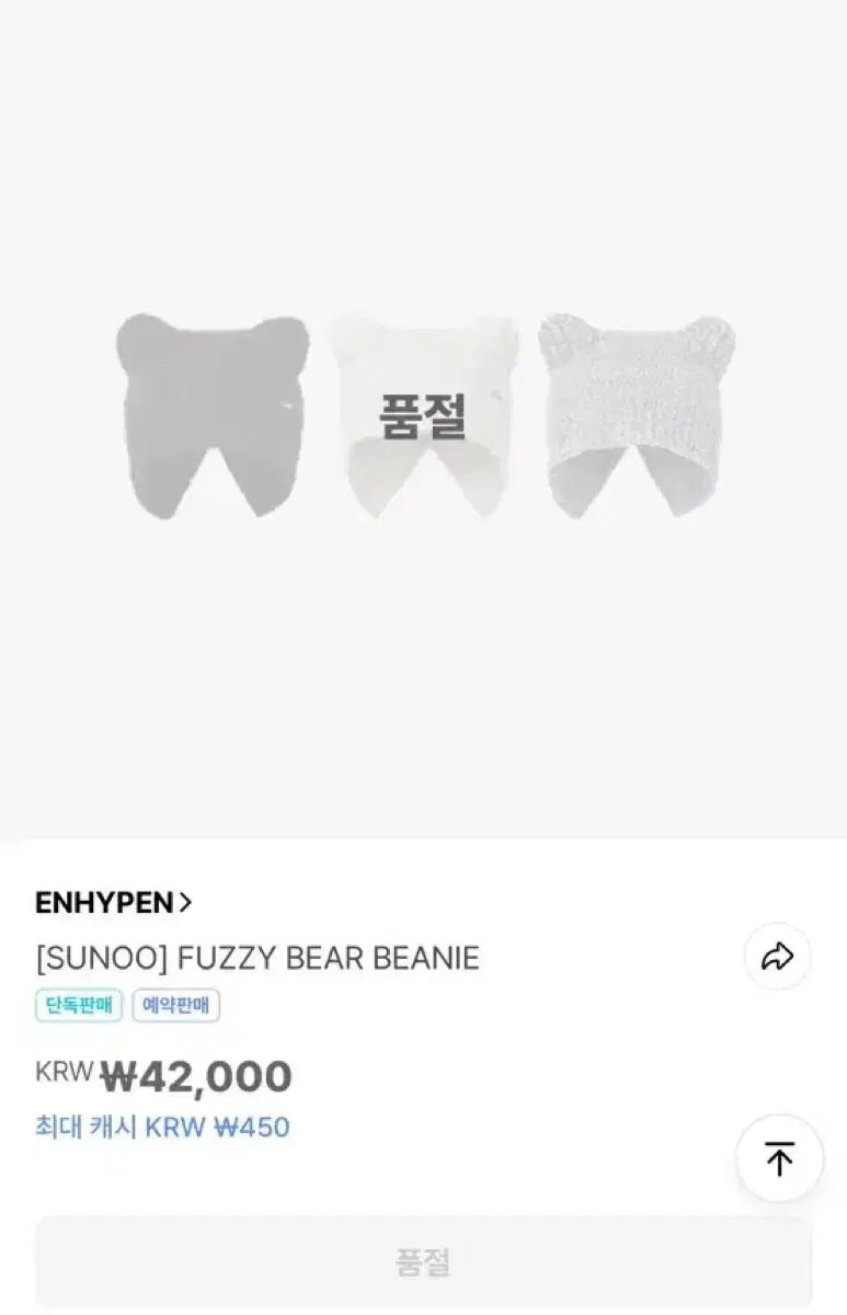 アーティスト メイド ENHYPEN エンハイプン エナプ ソヌ SUNWOO ビーニー 떤비니