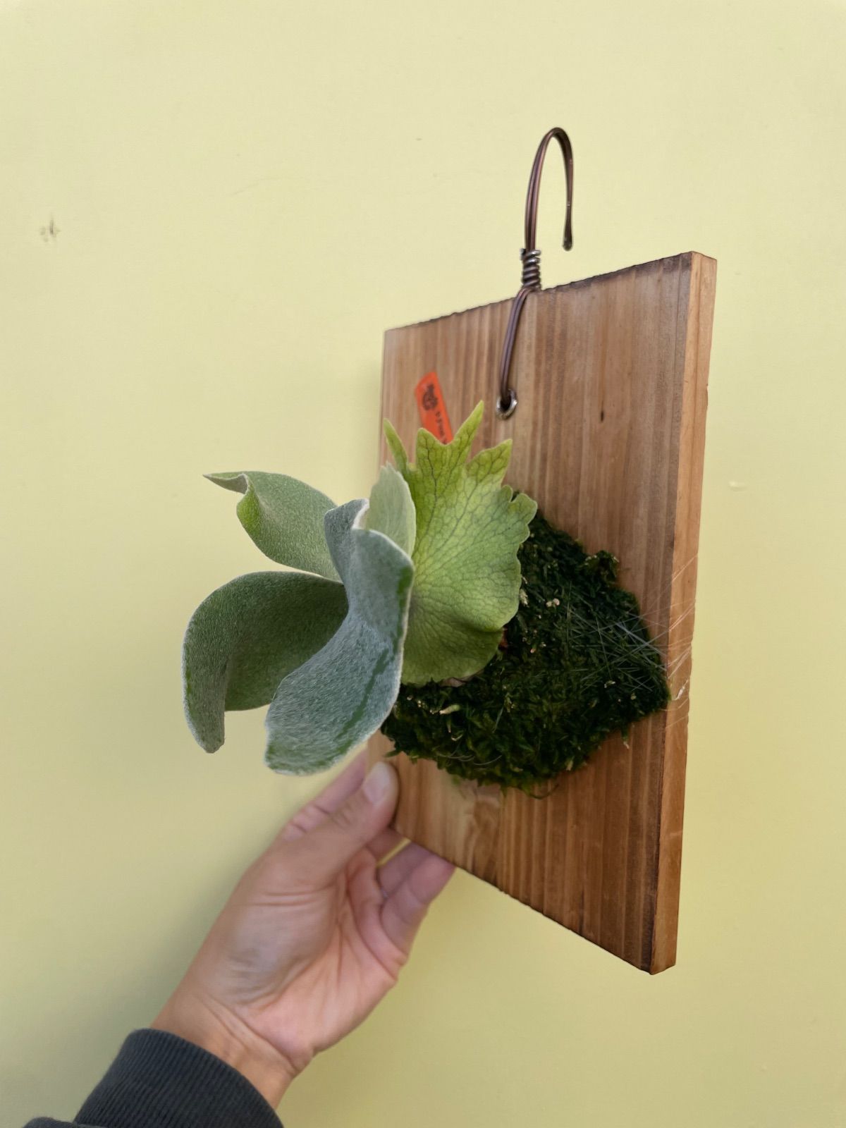 ファーストラブ セーラームーンスポア