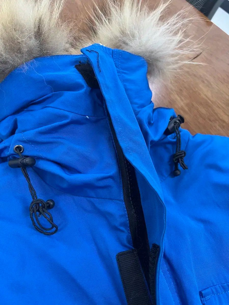 エクスペディション