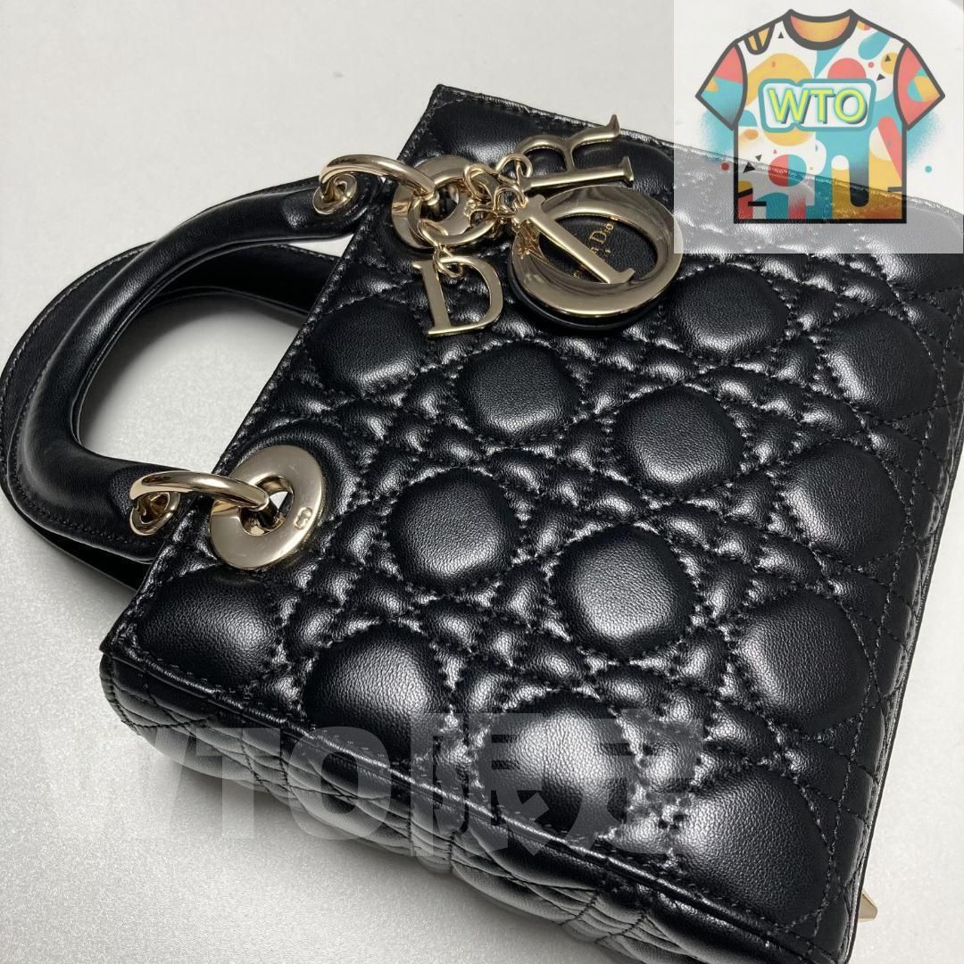  Christian Dior レディディオール 2 way ショルダーバッグ-WTO輸入-OBF 43 ショルダーバッグ バッグ