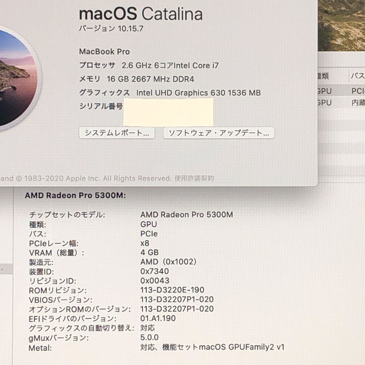 ◇ジャンク品・本体のみ◇Apple MacBook Pro (16インチ 2019)【Radeon