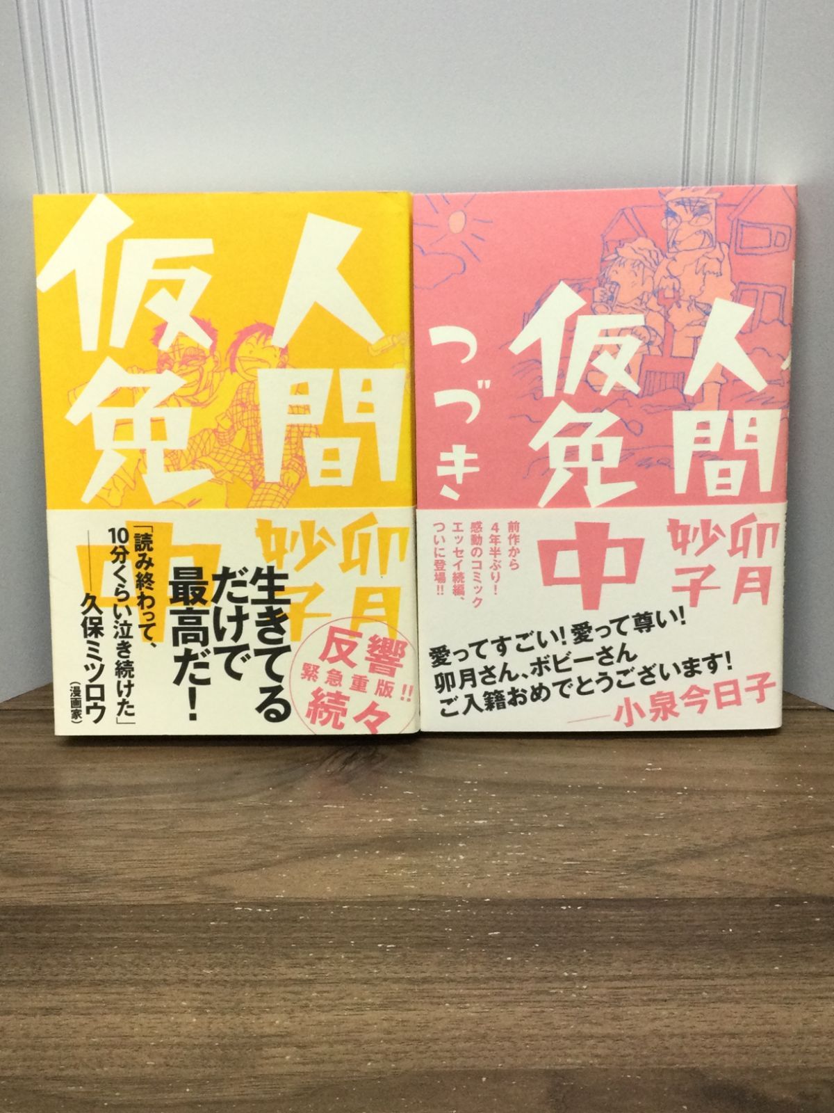 人間仮免中2冊セット 人間仮免中 & 人間仮免中つづき H4 - メルカリ