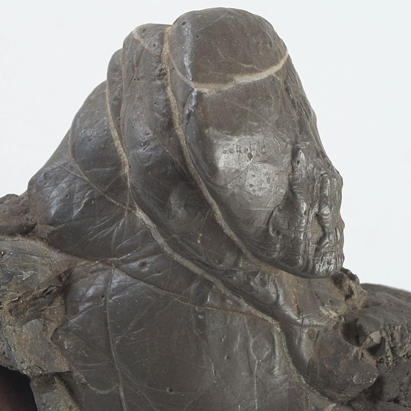 鑑賞石　天然石　置物　唐木台　時代箱付　D　R4325 鑑賞石 天然石 置物 唐木台付 2点まとめて V S229 【公式通販】